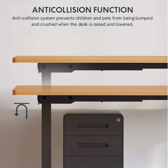 Stand Up Desk