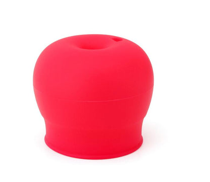 The Sippy Cup Lid