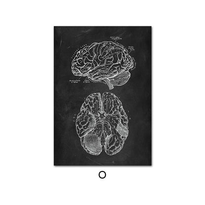 Canvas Painting Of Human Anatomy Skeleton Organ System