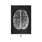 Canvas Painting Of Human Anatomy Skeleton Organ System