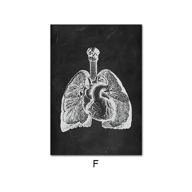 Canvas Painting Of Human Anatomy Skeleton Organ System