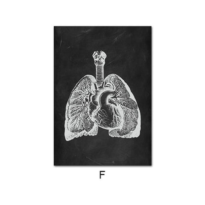 Canvas Painting Of Human Anatomy Skeleton Organ System