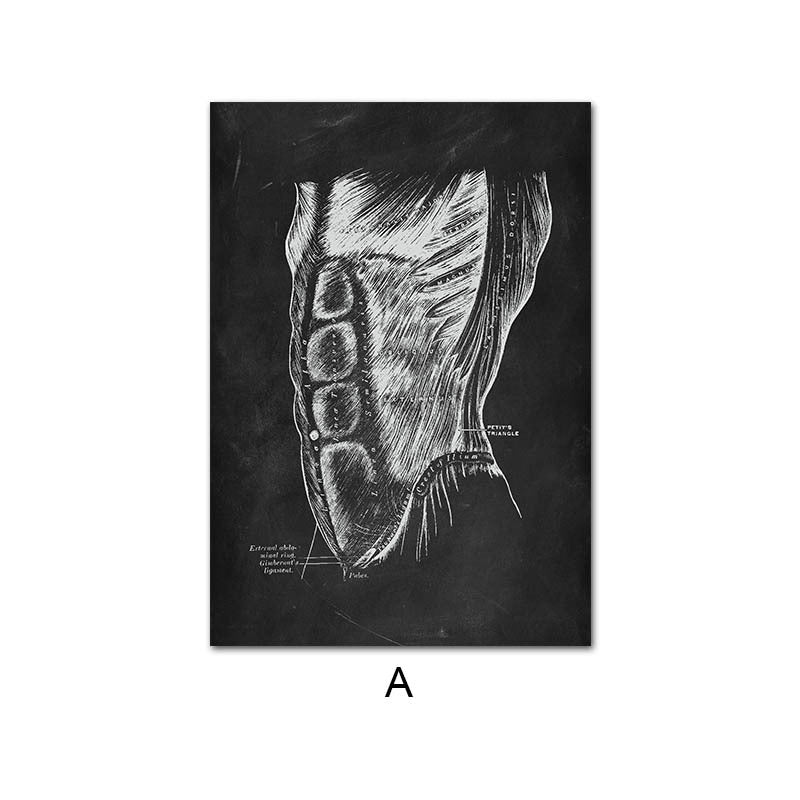Canvas Painting Of Human Anatomy Skeleton Organ System