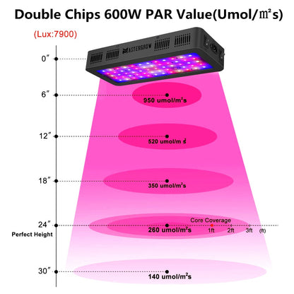 Full Spectrum 300/600/800/900/1000/1200/1800/2000W LED Grow Light 410-730nm for Indoor Plants and Flower Greenhouse Grow Tent